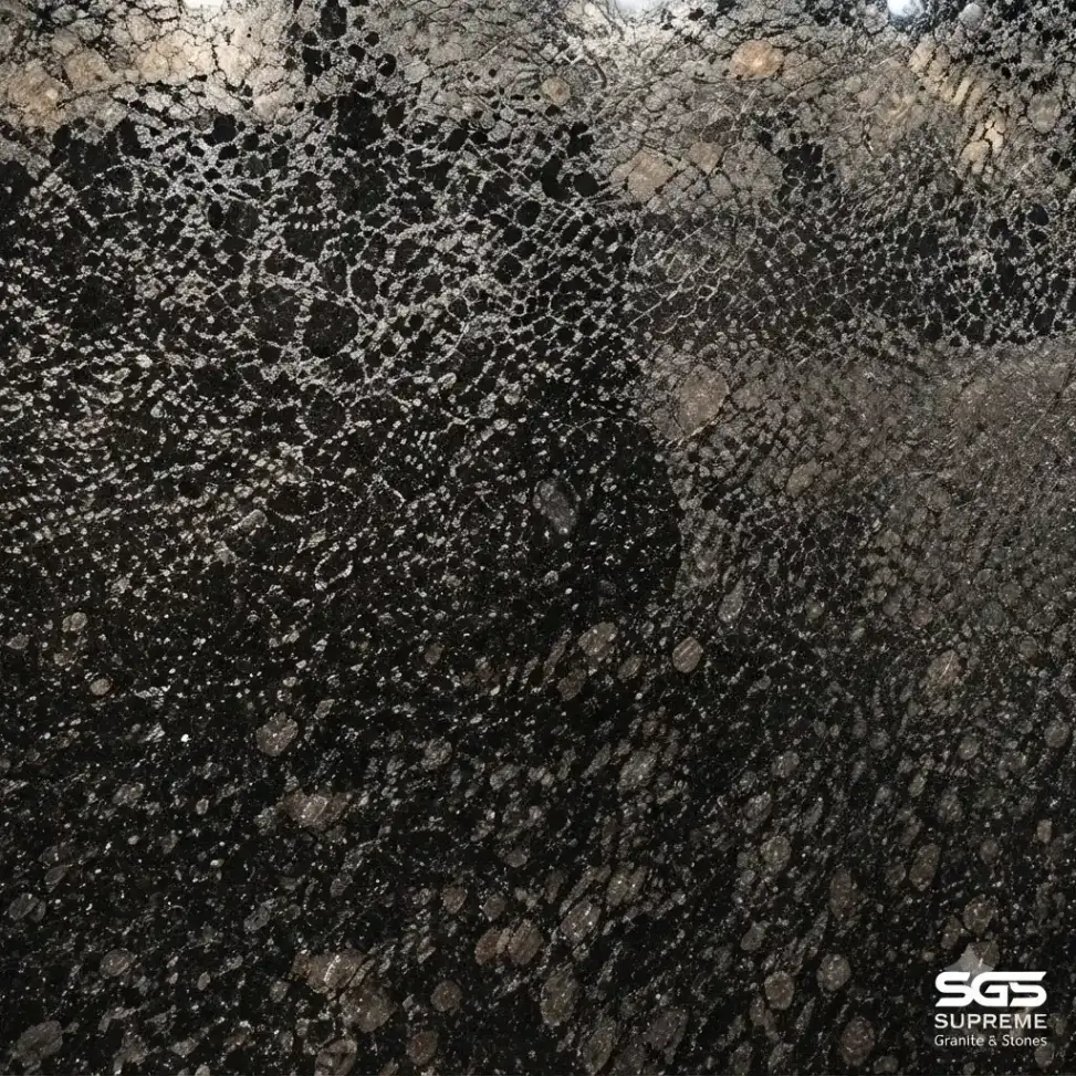 Close-up of Majestic Black Granite showing a dark black surface with dense grey and silver mineral grains and scattered brown-grey inclusions.